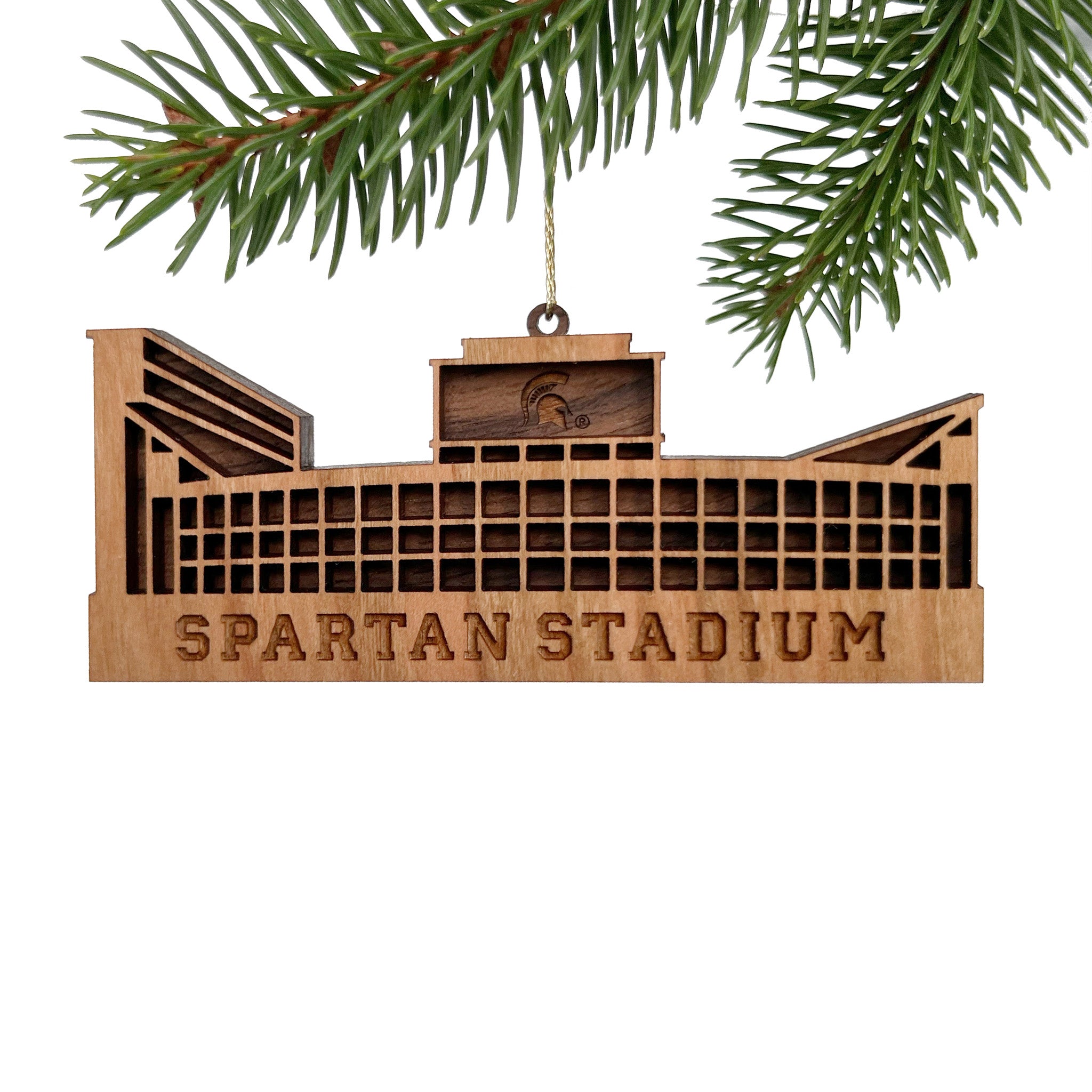 Gift for Michigan State University Spartans Fan