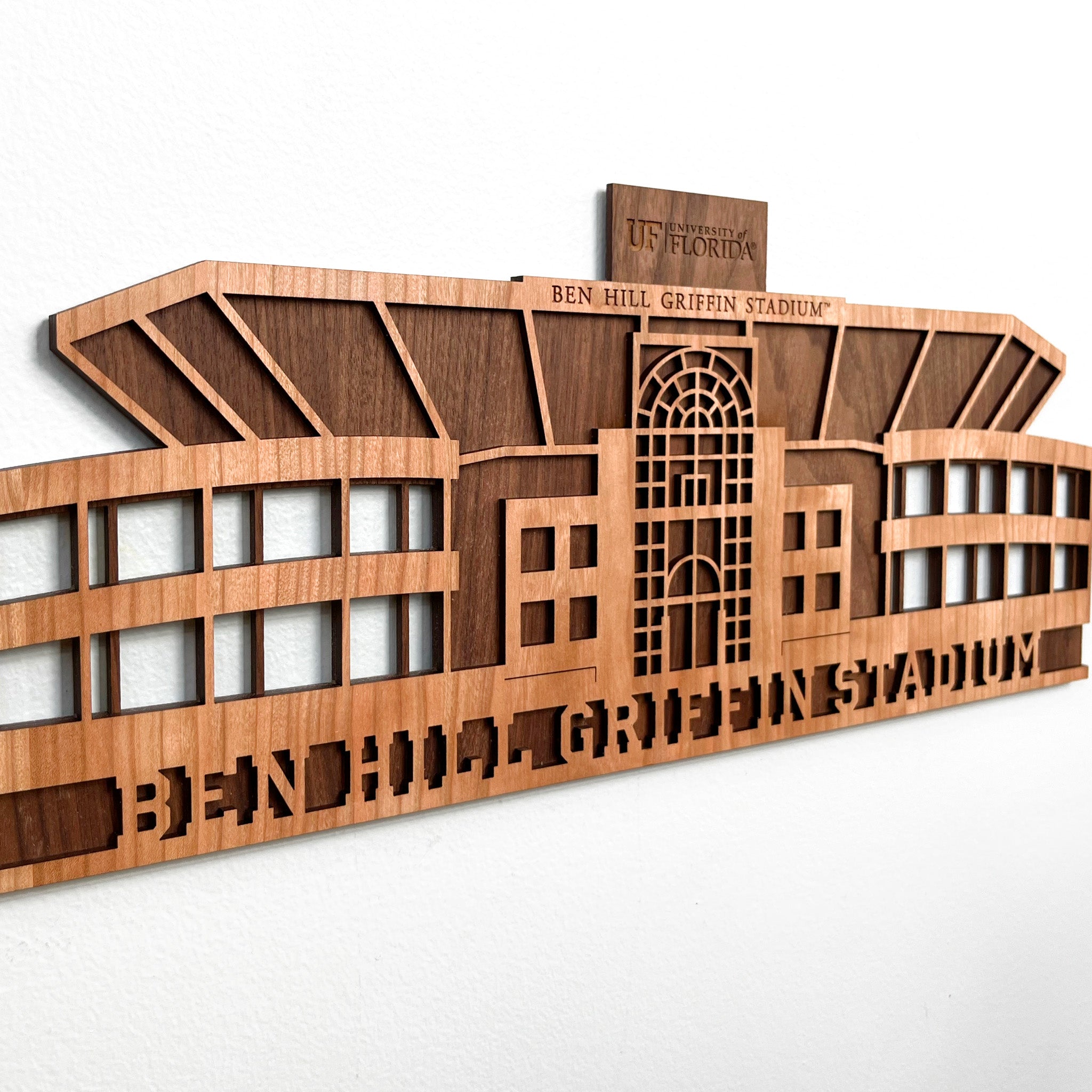 Florida Gator Wall Art