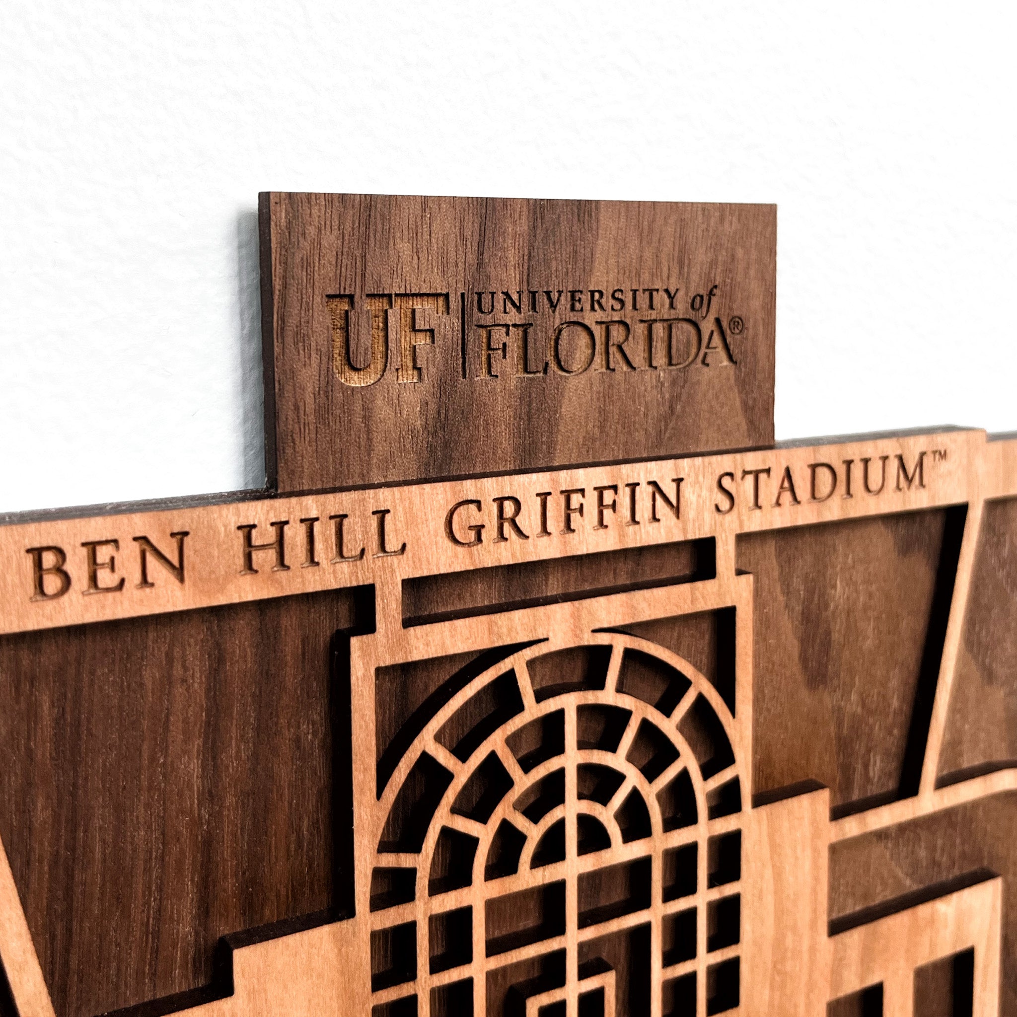 Gift for Florida Gators Football Fan
