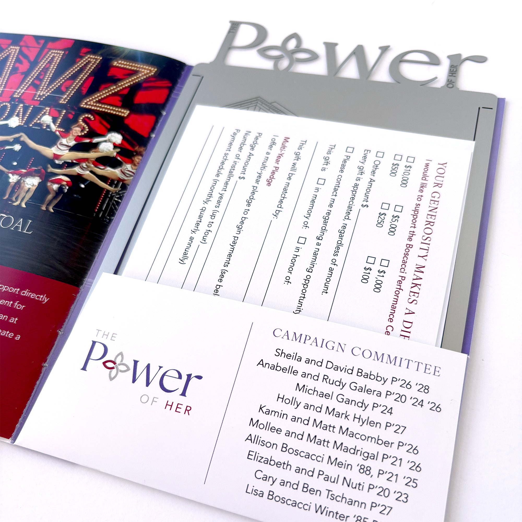 High End Brochure for Fundraising